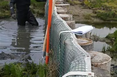 Barene a salvaguardia della Laguna di Venezia